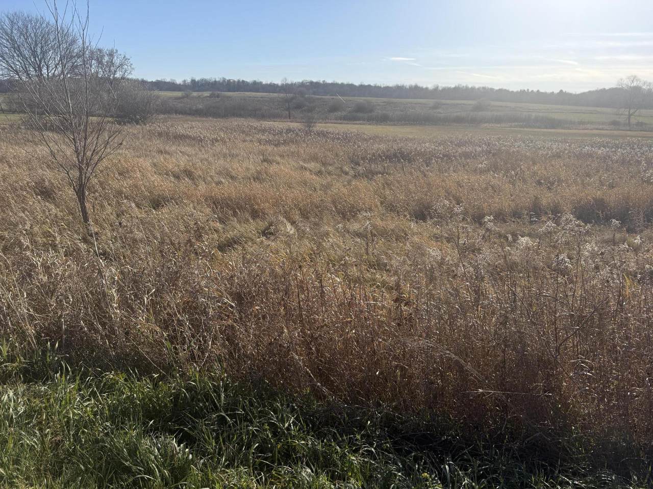 https://bt-photos.global.ssl.fastly.net/swmich/1280_boomver_1_25058194-2.jpg