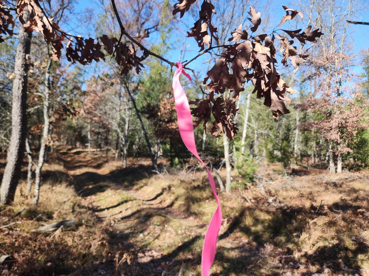 VL Trail 6545 (Hb Road) - Photo 1