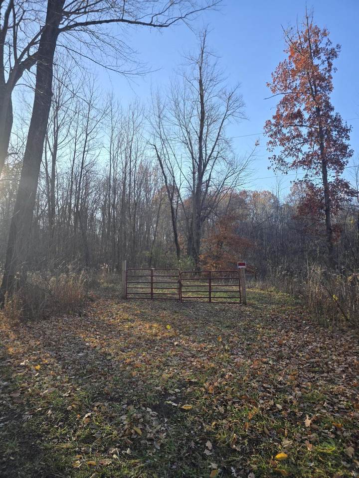 VL Marcellus Hwy Highway - Photo 1