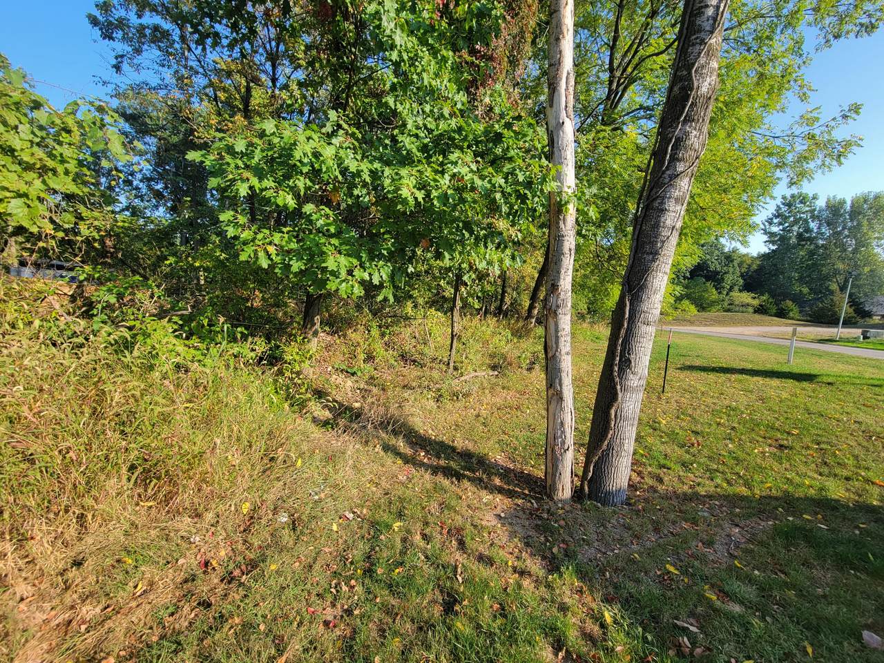 https://bt-photos.global.ssl.fastly.net/swmich/1280_boomver_1_25058669-2.jpg