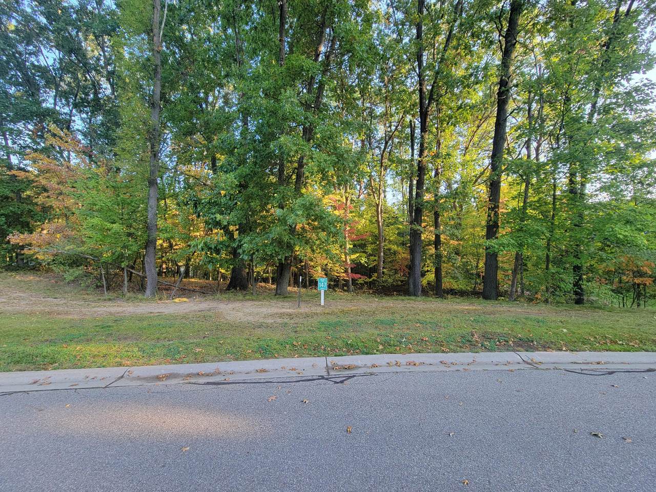 6433 Shore Drive - Photo 1