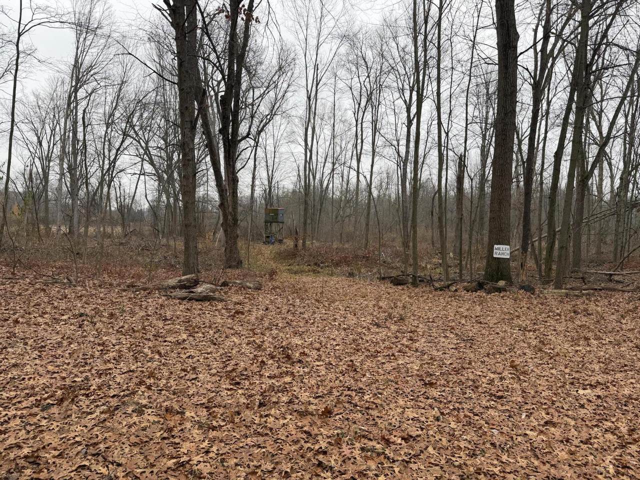  Burtch Road - Photo 1