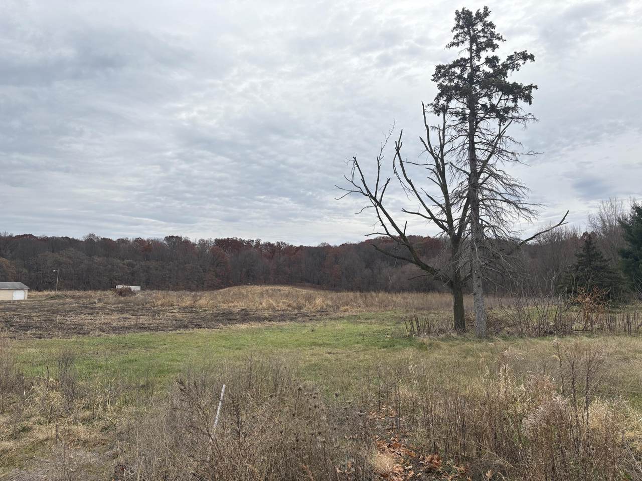https://bt-photos.global.ssl.fastly.net/swmich/1280_boomver_1_25059762-2.jpg