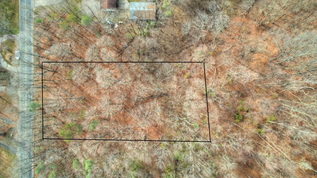 3615 Allegan Dam Road - Photo 1