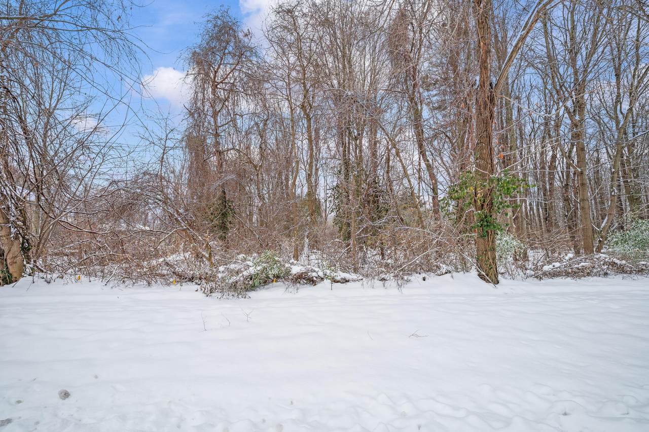 1950 Donna Drive - Photo 1