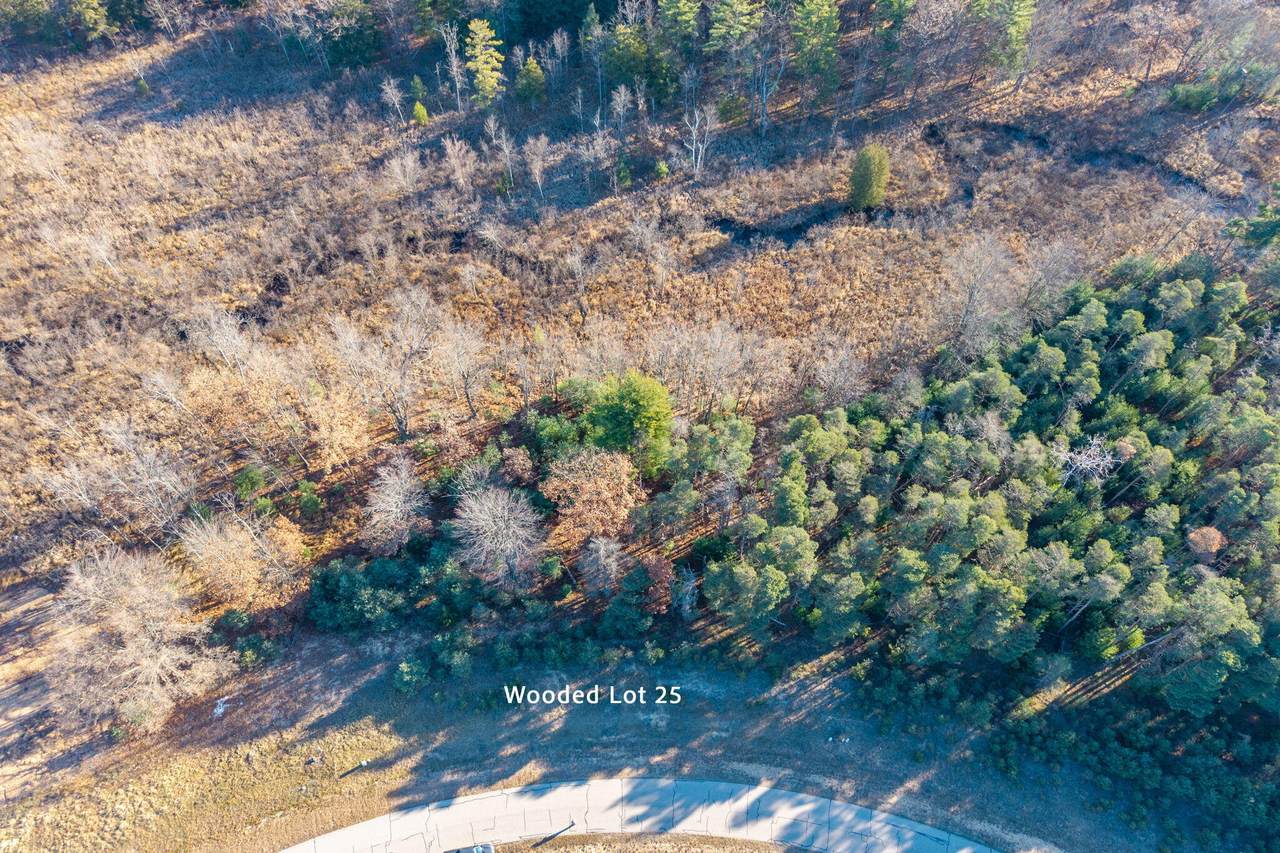 11250 Killarney Drive - Photo 1