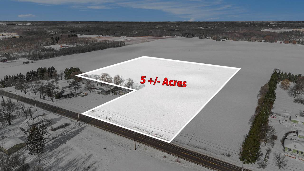 5A Napier Avenue - Photo 1