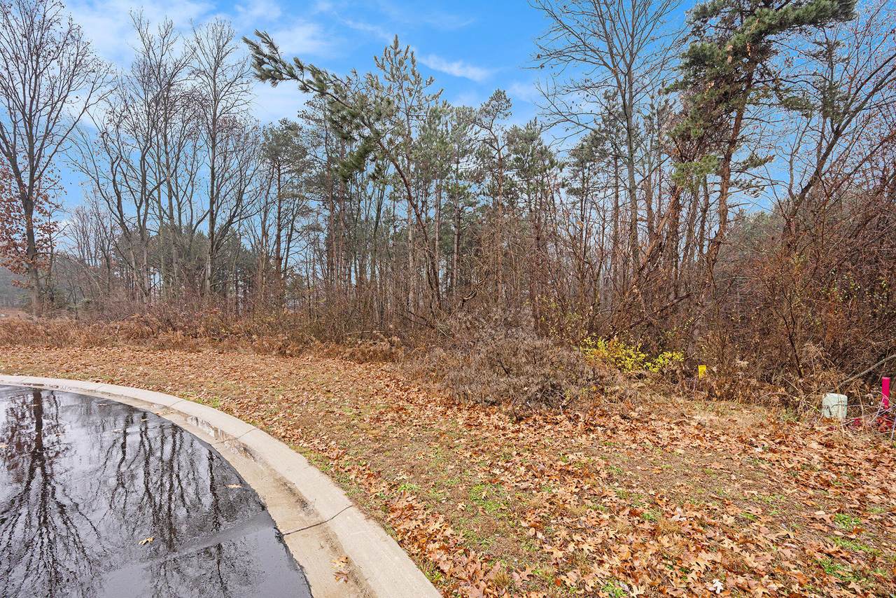 8120 Majestic Court - Photo 1