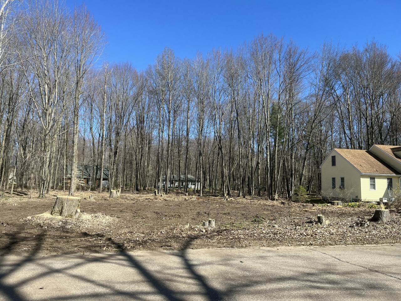 6754 Club House Drive - Photo 1