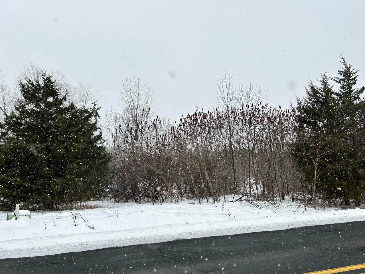 1614 66th Street - Photo 1