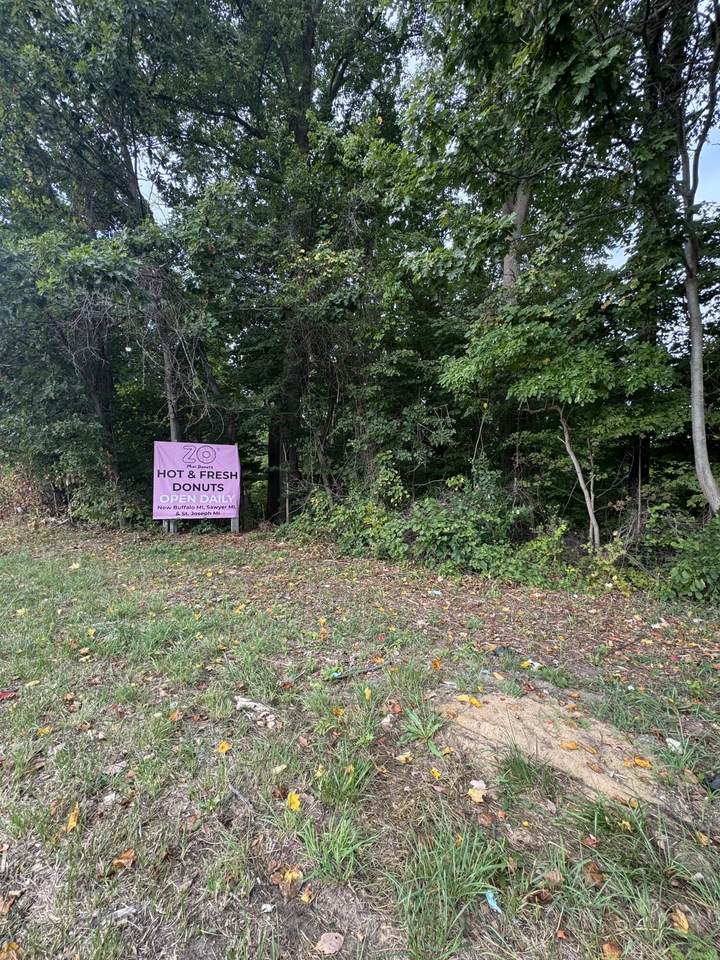 7352 Red Arrow Highway - Photo 1