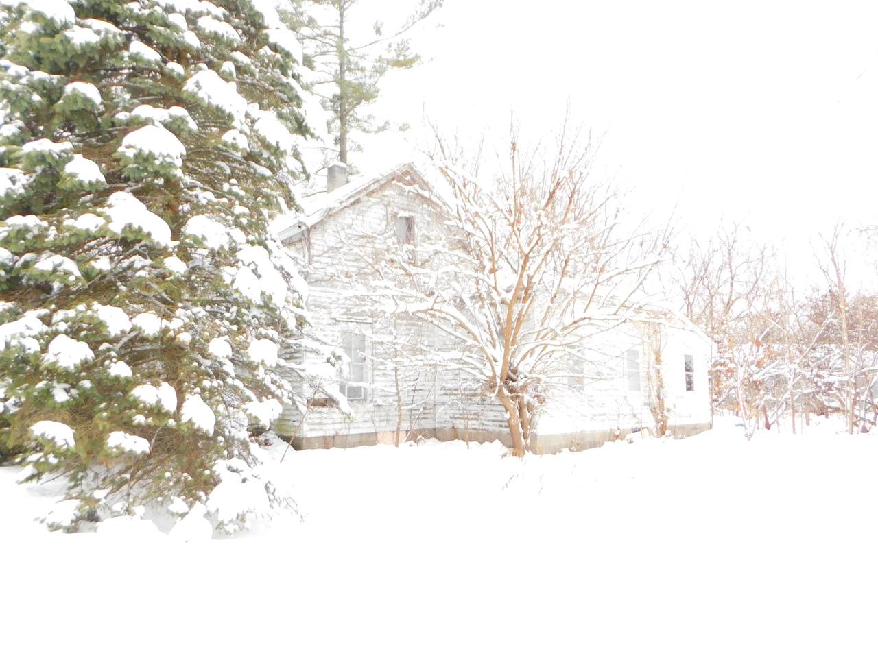 111 Saint Marys Street - Photo 1