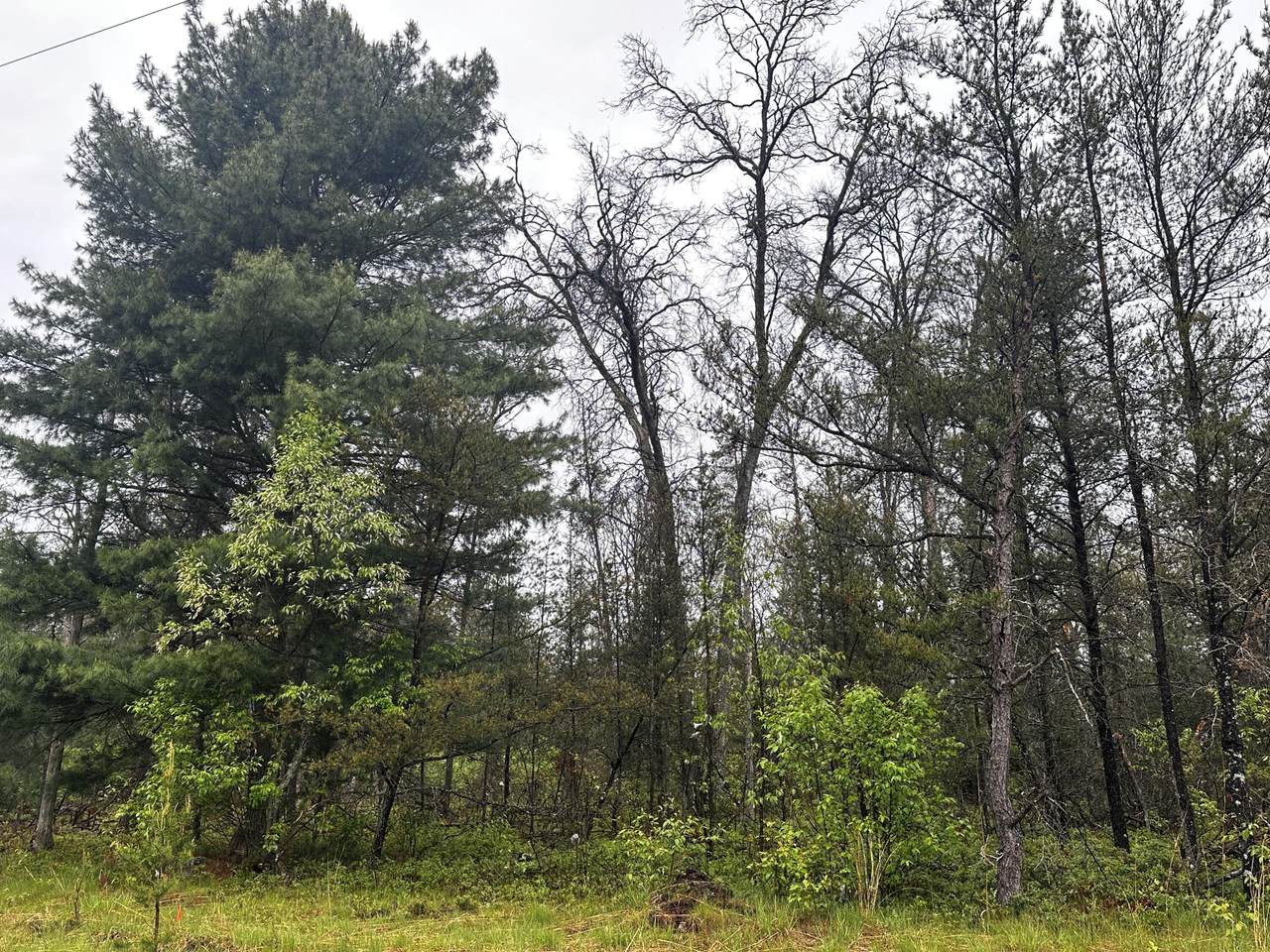 00 10 Mile Road - Photo 1