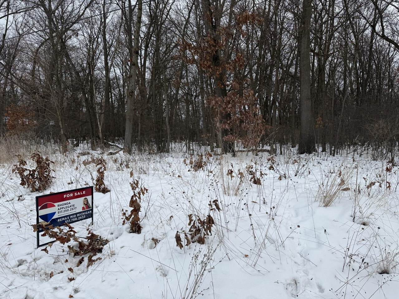 0 Brown Street - Photo 1