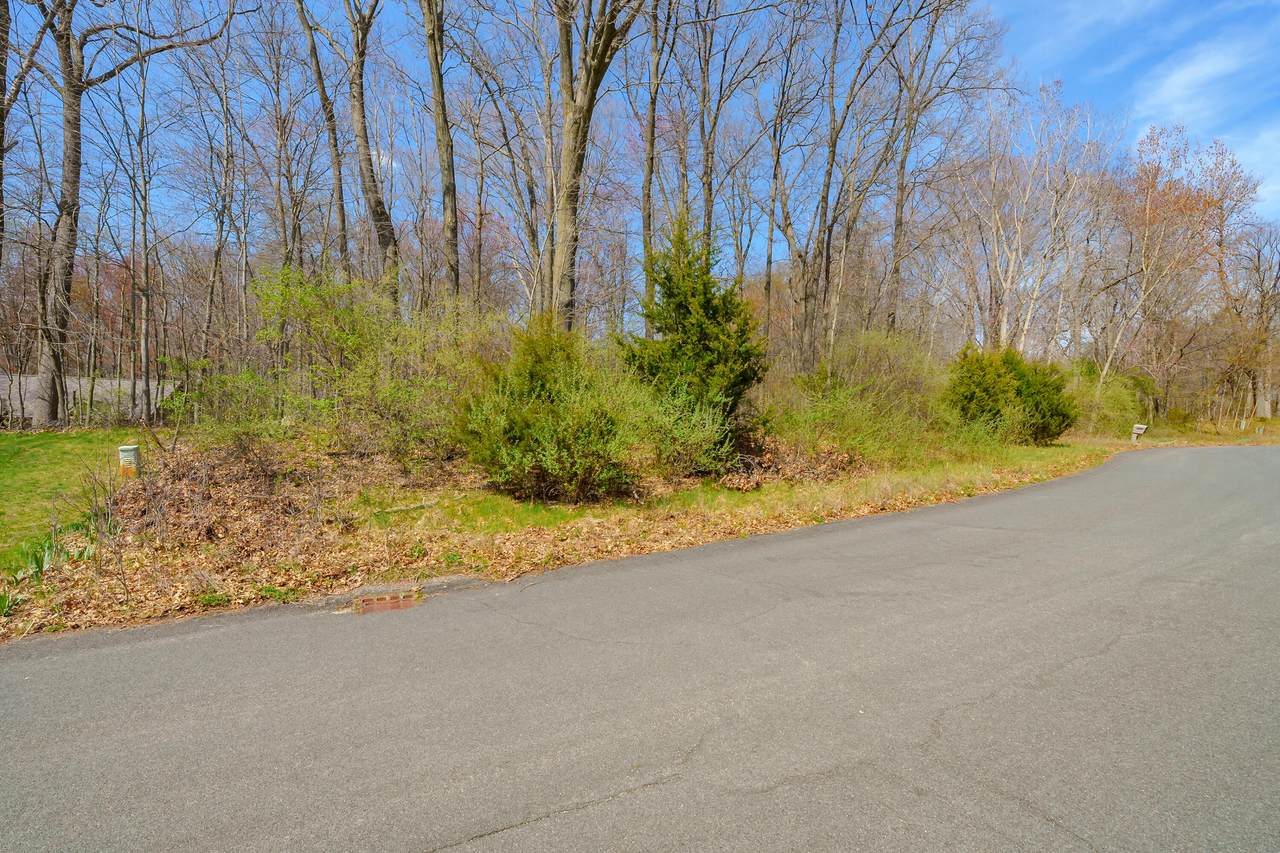 4331 Stony Avenue - Photo 1