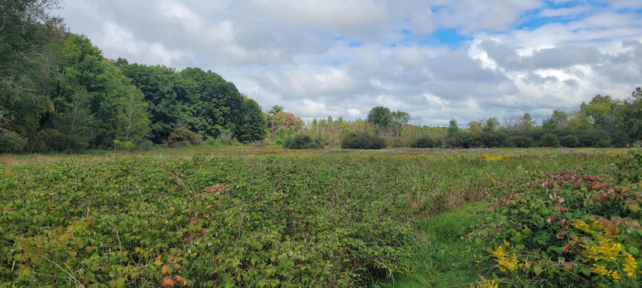 881 Brye Road - Photo 1