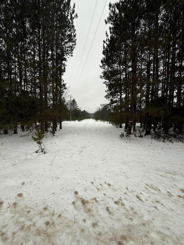 14124 Healy Lake Road - Photo 1