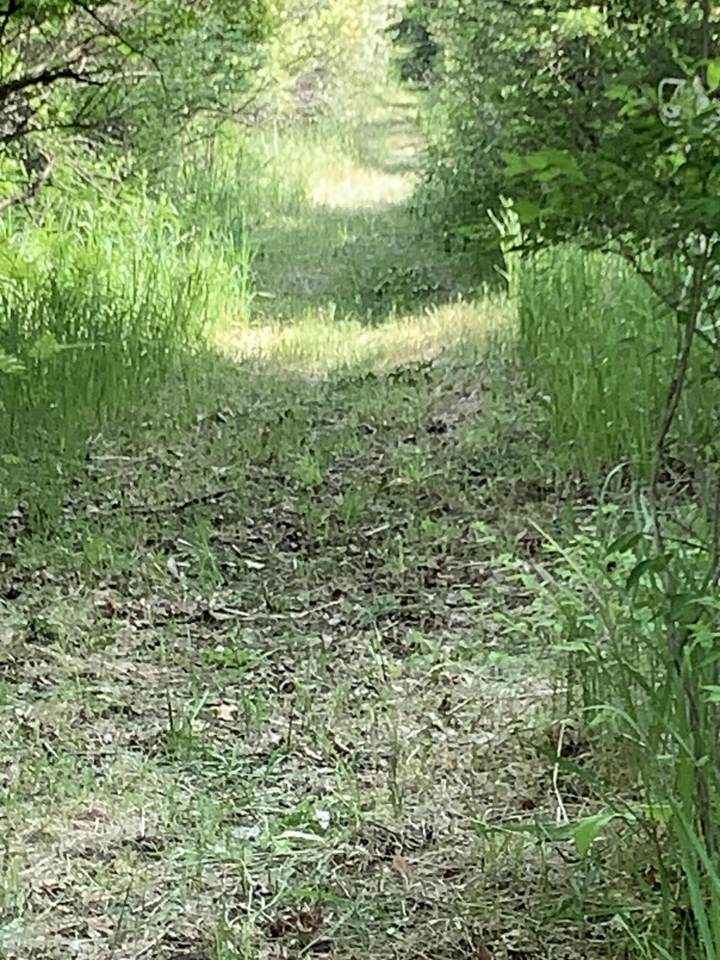  30th Avenue - Photo 1