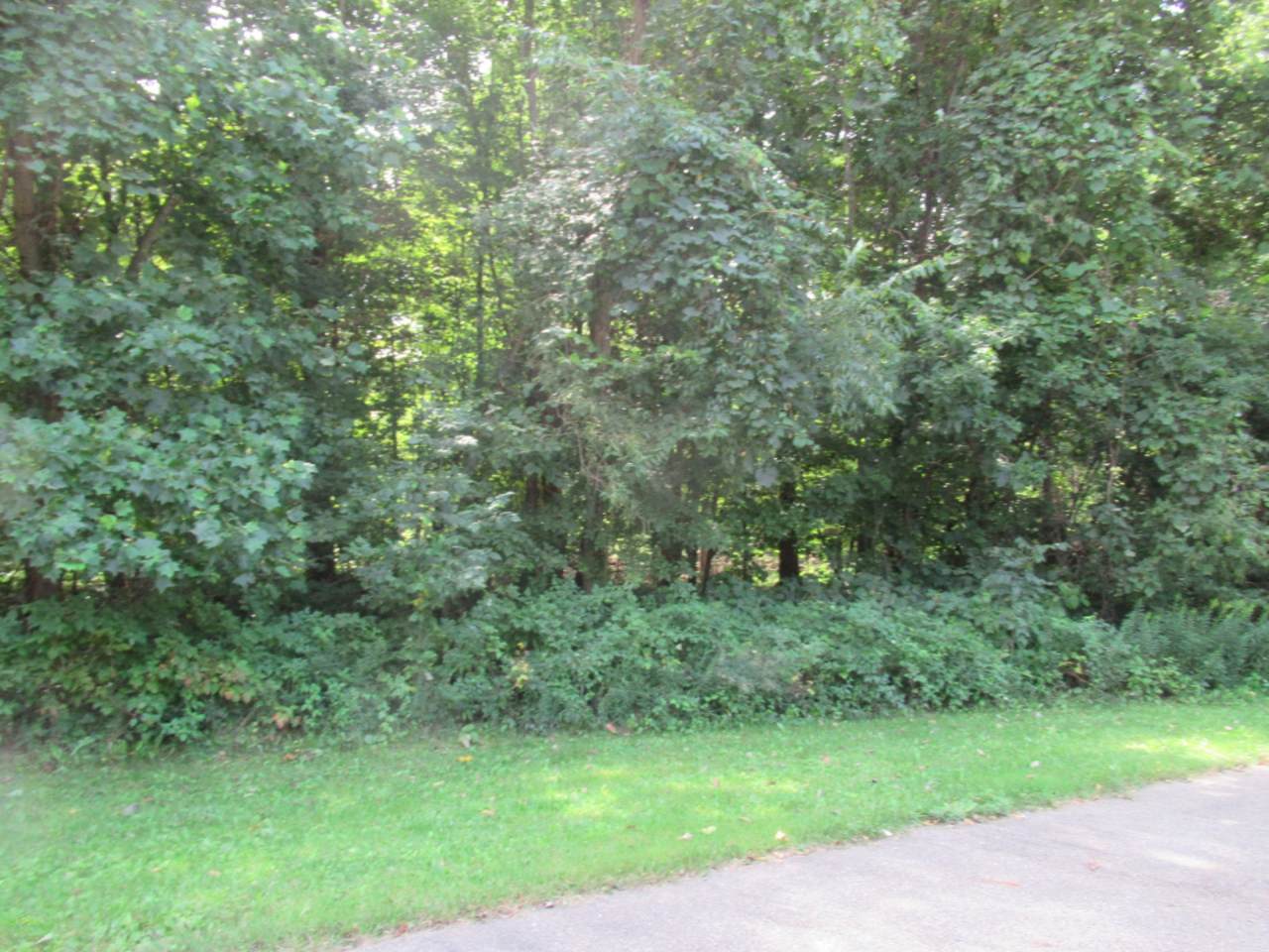 Tract 1 Deep Woods Drive - Photo 1