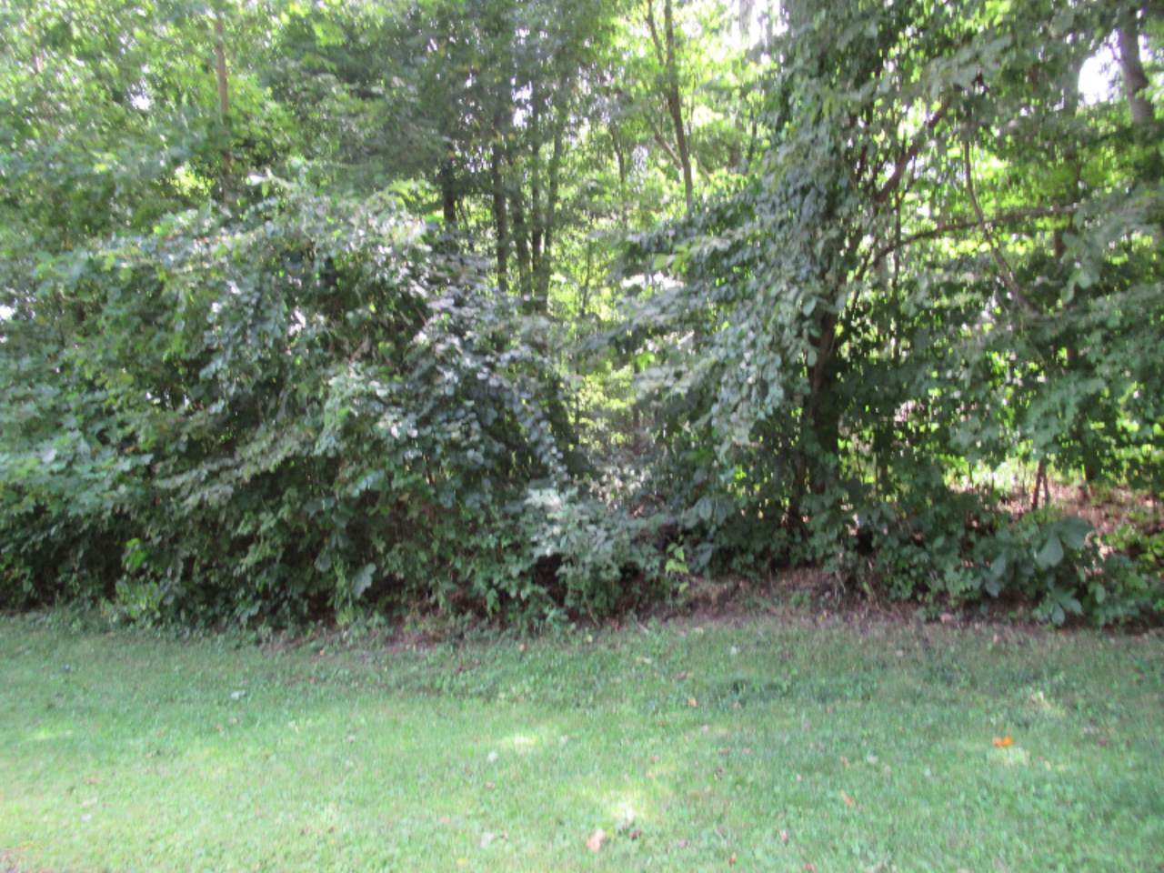 Tract #2 Deep Woods Drive - Photo 1
