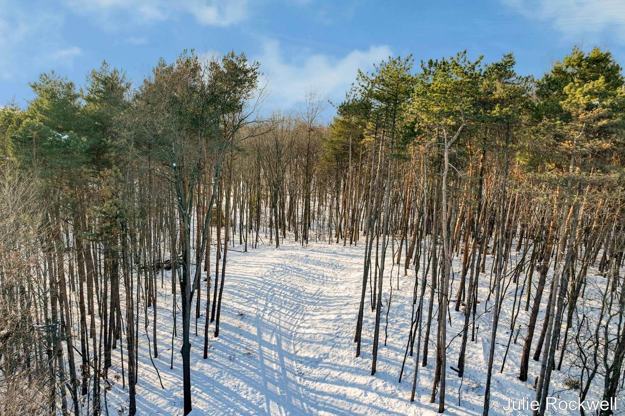 3669 Buttrick Avenue - Photo 1