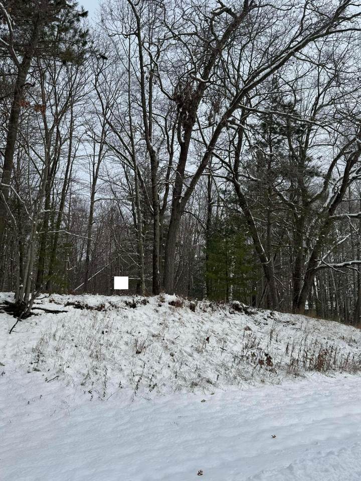  Oakridge Drive - Photo 1