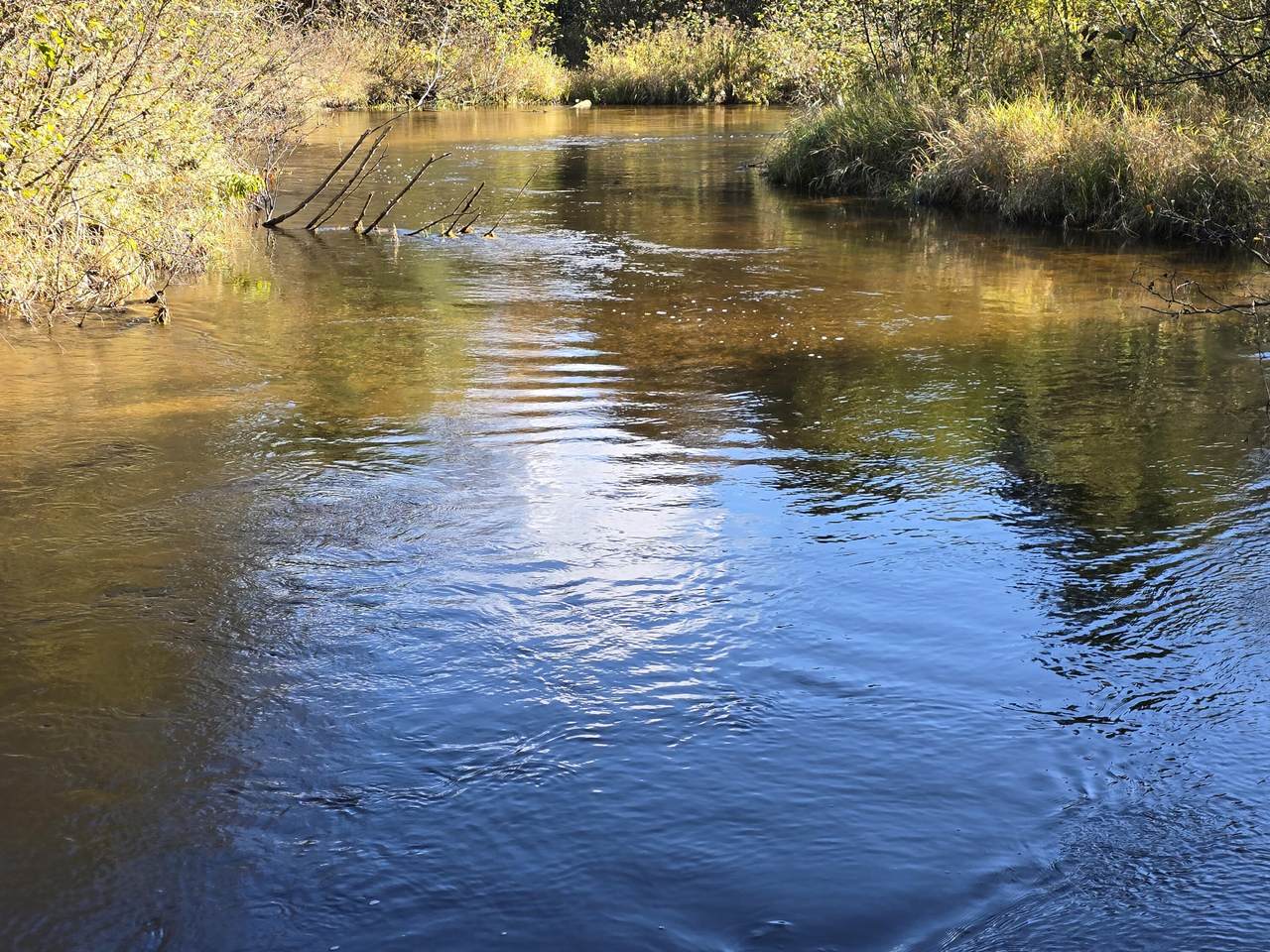 10652 River Road - Photo 1