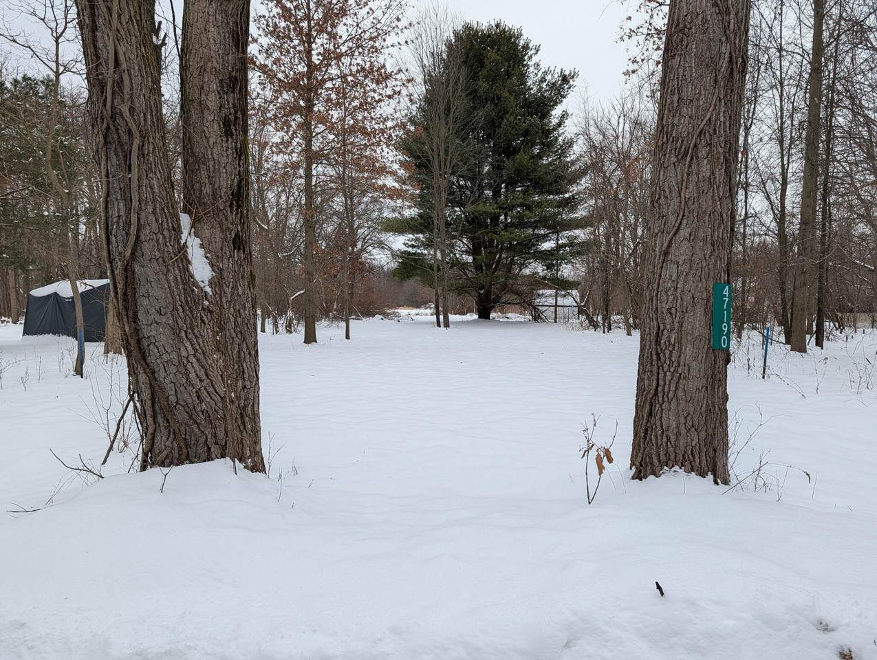 47190 Flagler Road - Photo 1