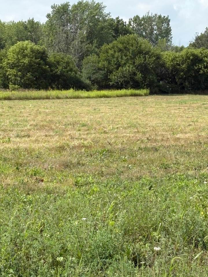 10725 Windward Avenue - Photo 1