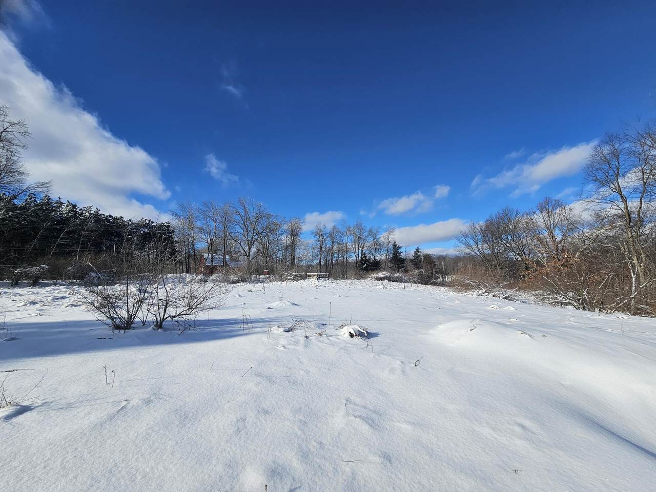 02 120th Ave - Photo 1