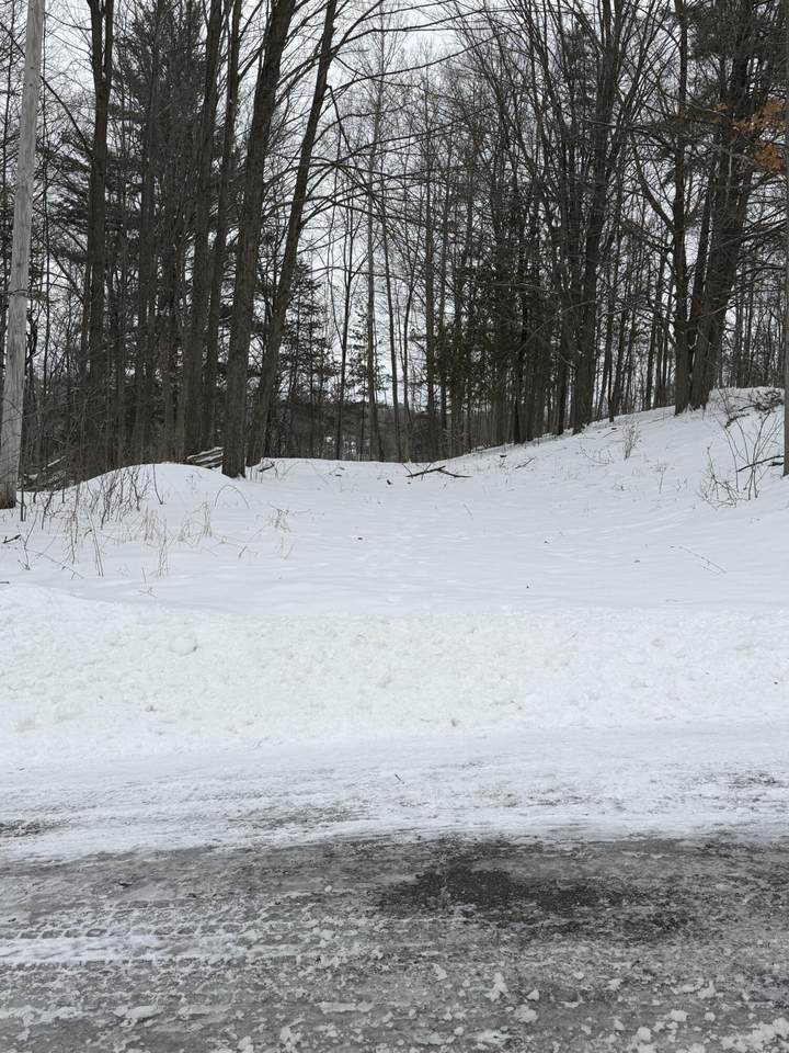 313 Spruce Street - Photo 1