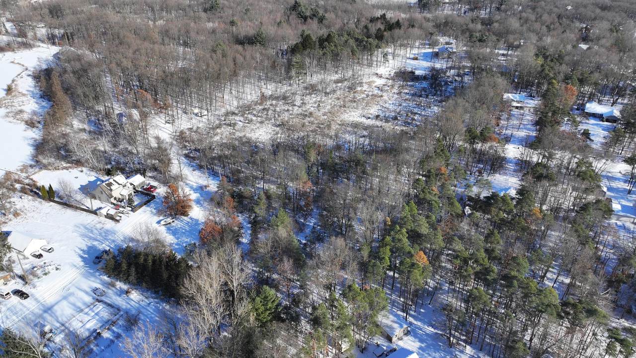 12304 Lappley Avenue - Photo 1