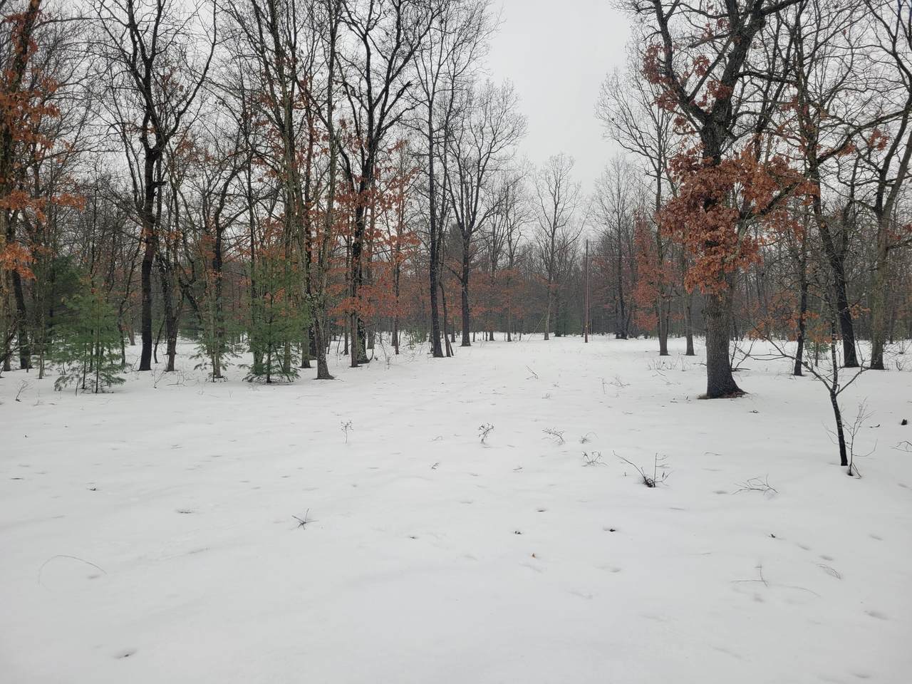 2155 County Line Road - Photo 1