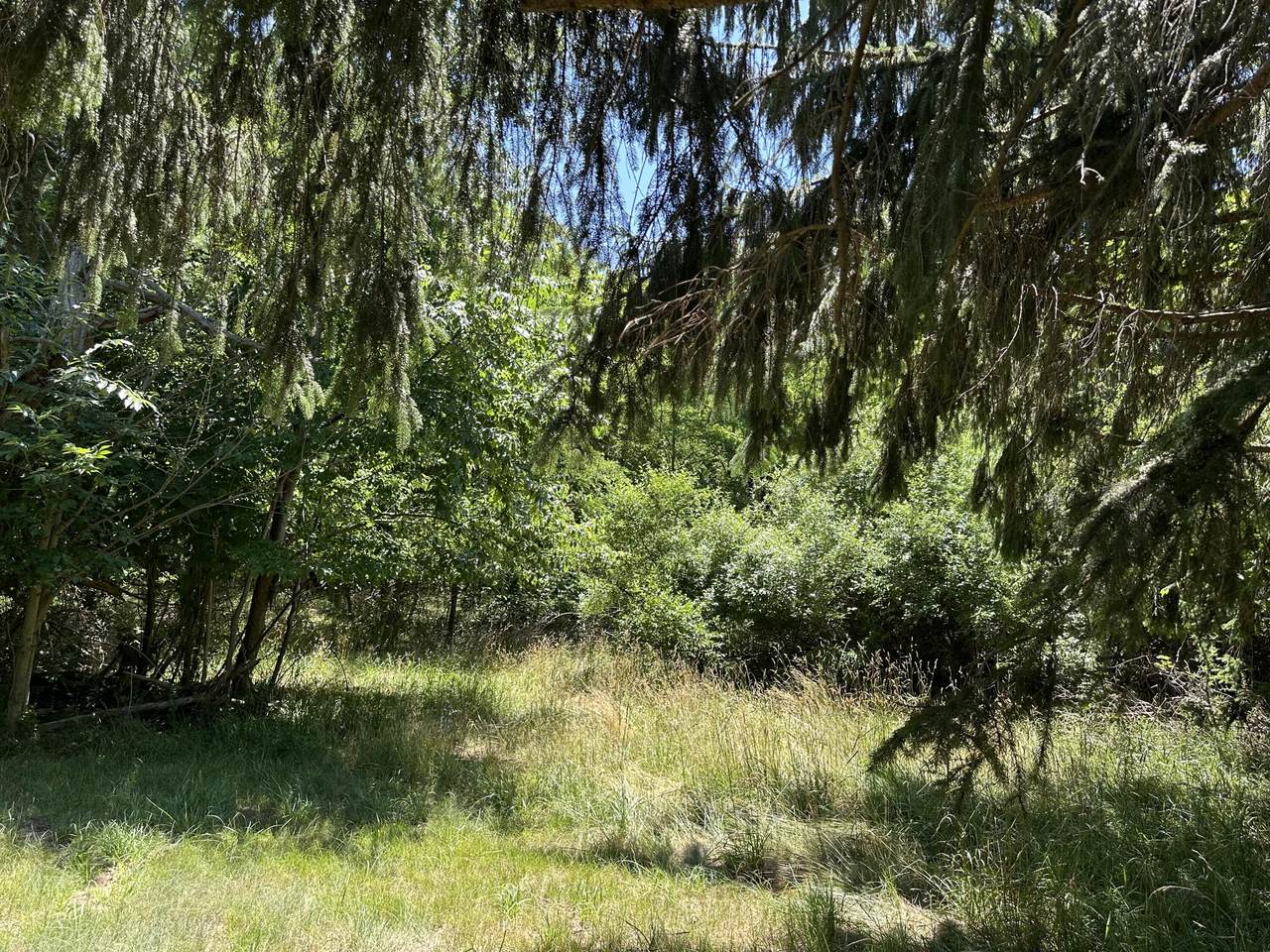  Lot 1 Christopher Lane - Photo 1