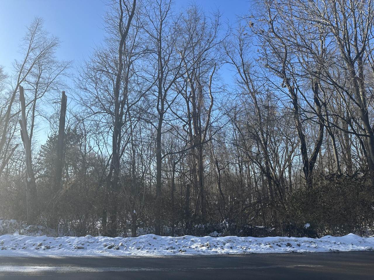 369 Kincaid Street - Photo 1