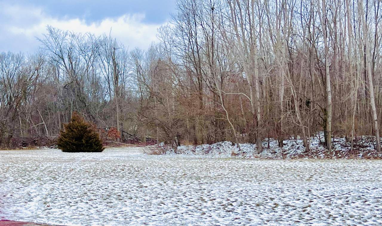 56660 Tanner Trail - Photo 1