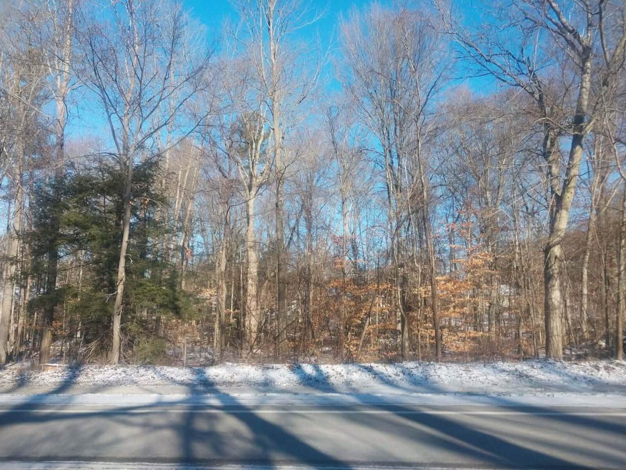 Lot A 142nd Avenue - Photo 1