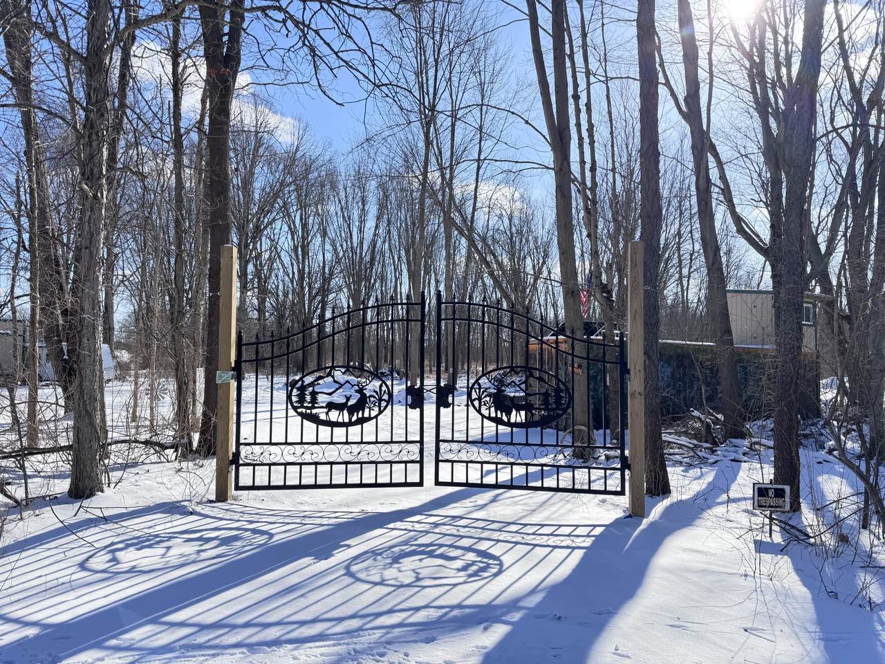 479 Grass Lake Road - Photo 1