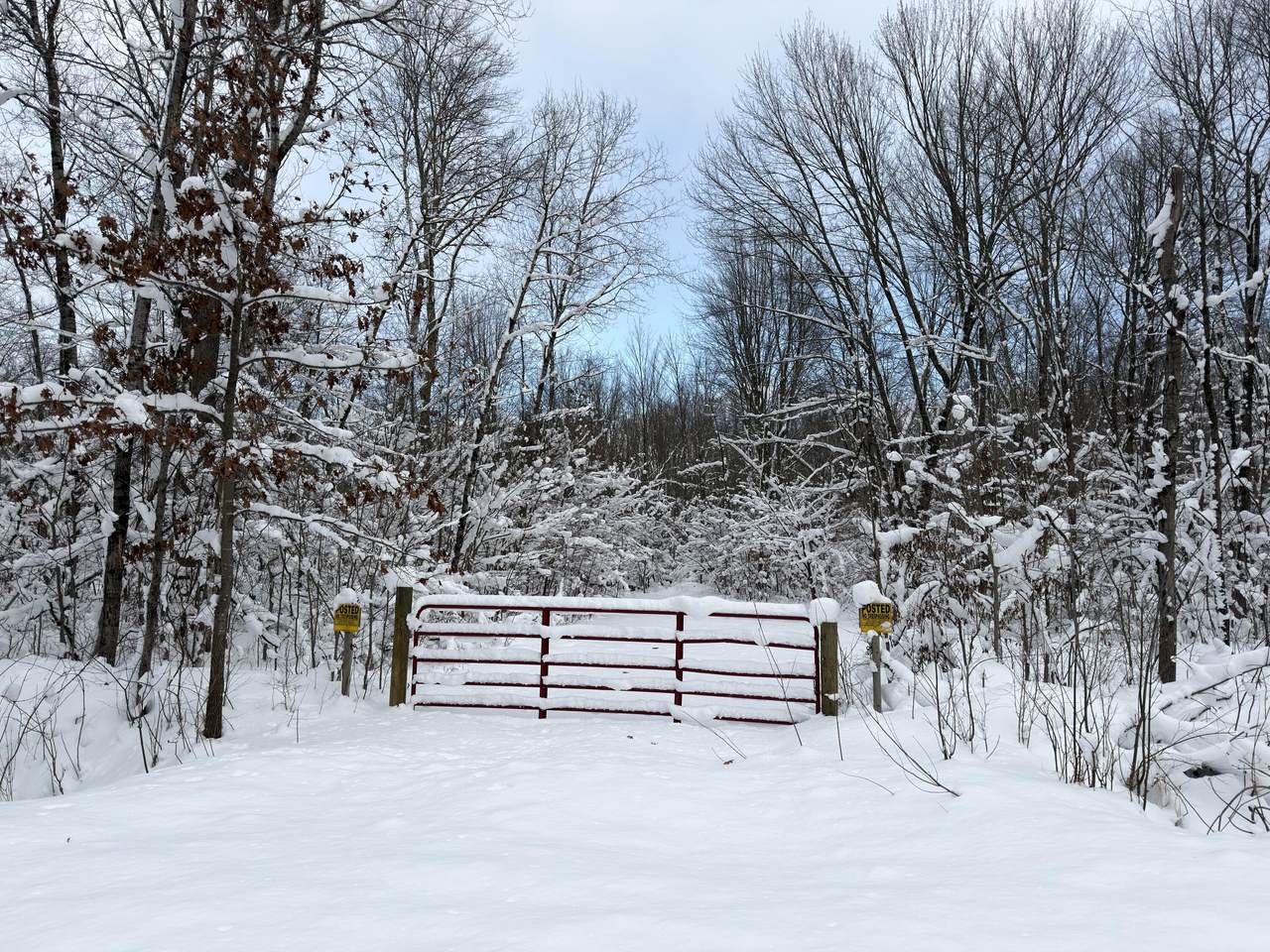 10830 3 Mile Road - Photo 1