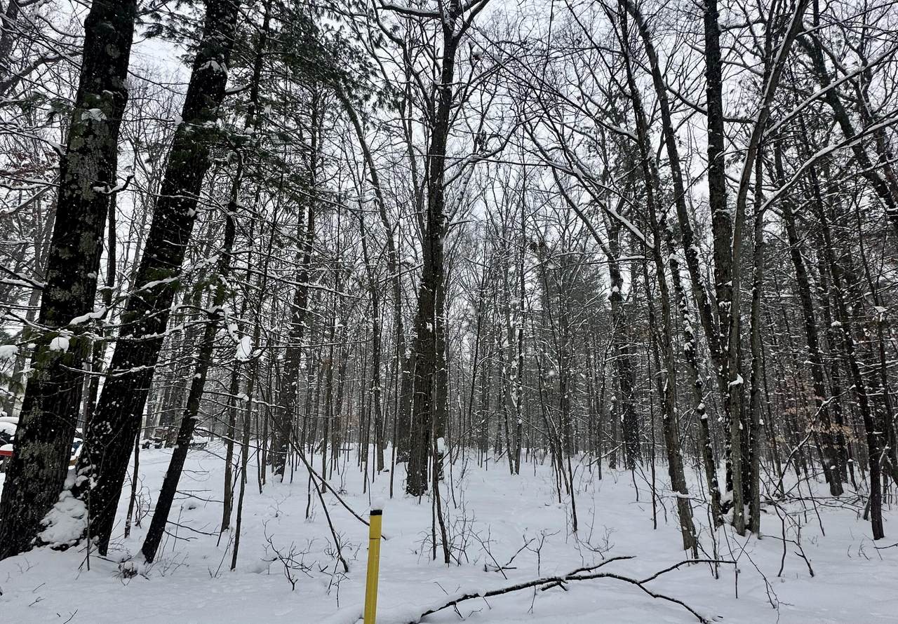 00 Saux Lane - Photo 1