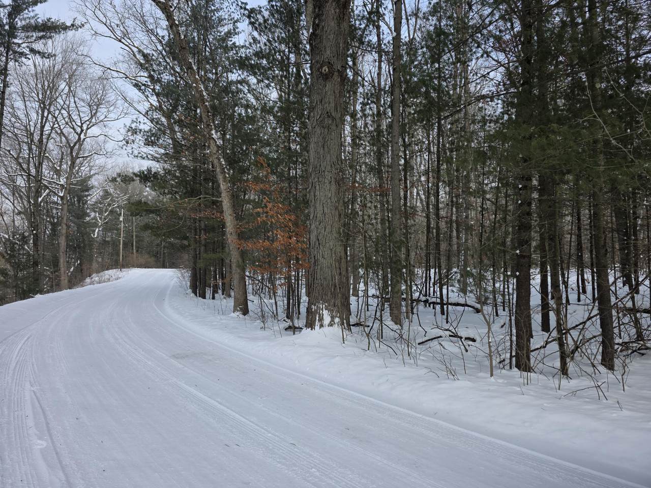 7696 Muskegon Boulevard - Photo 1