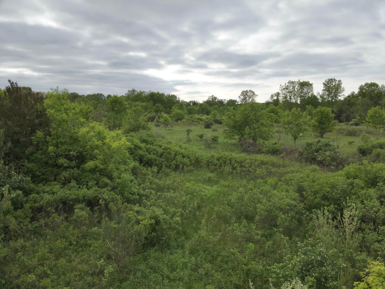  Bunkerhill Road - Photo 1