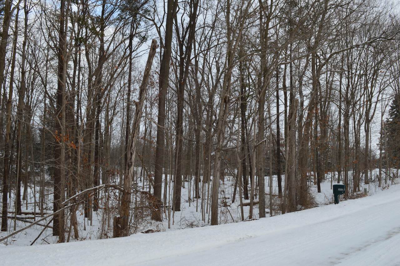 0 Willow Rd - Photo 1