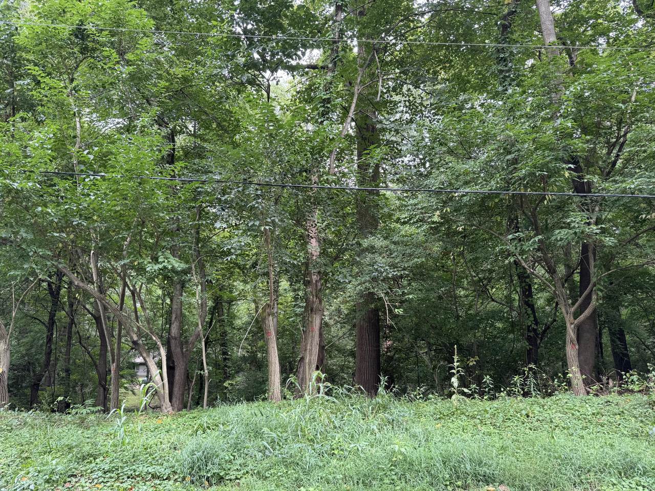 no number Court Drive - Photo 1