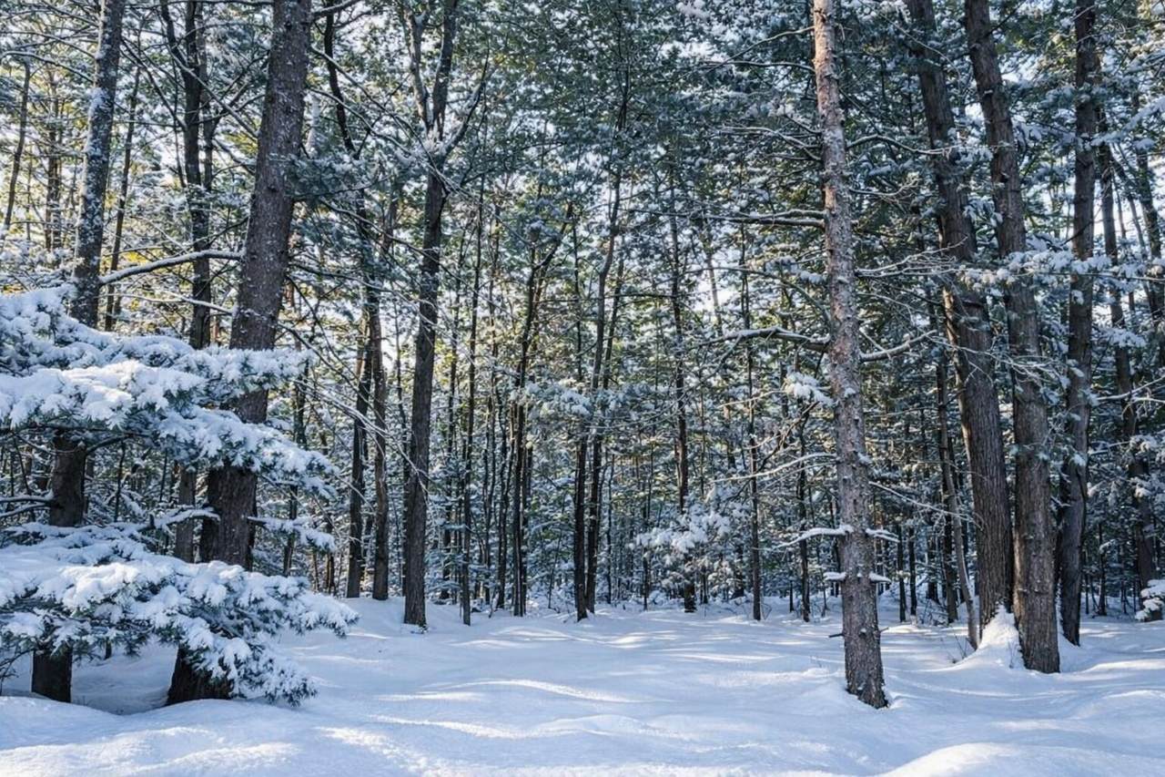 11488 Fredmar Drive - Photo 1