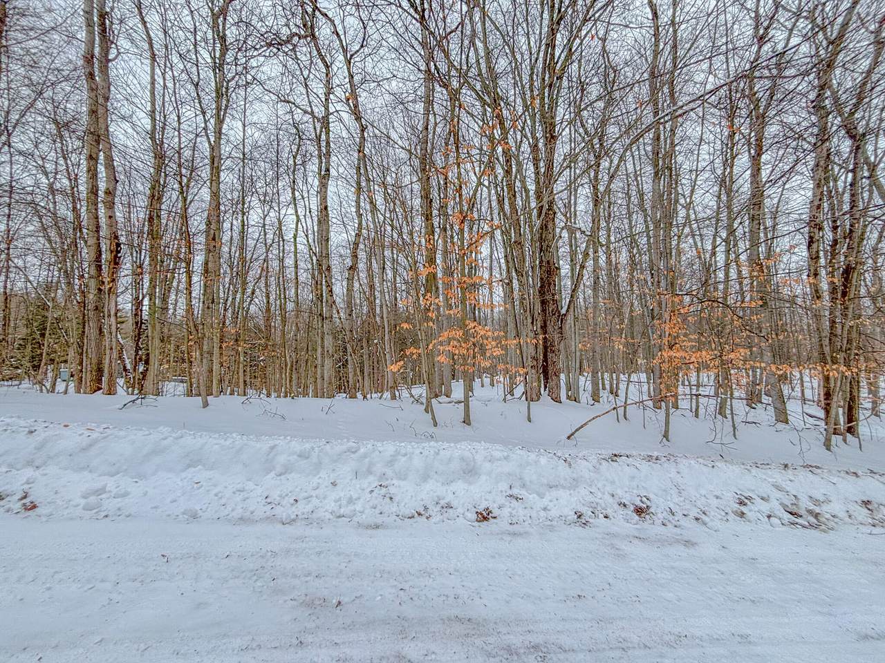 12329 Wagon Wheel Trail - Photo 1