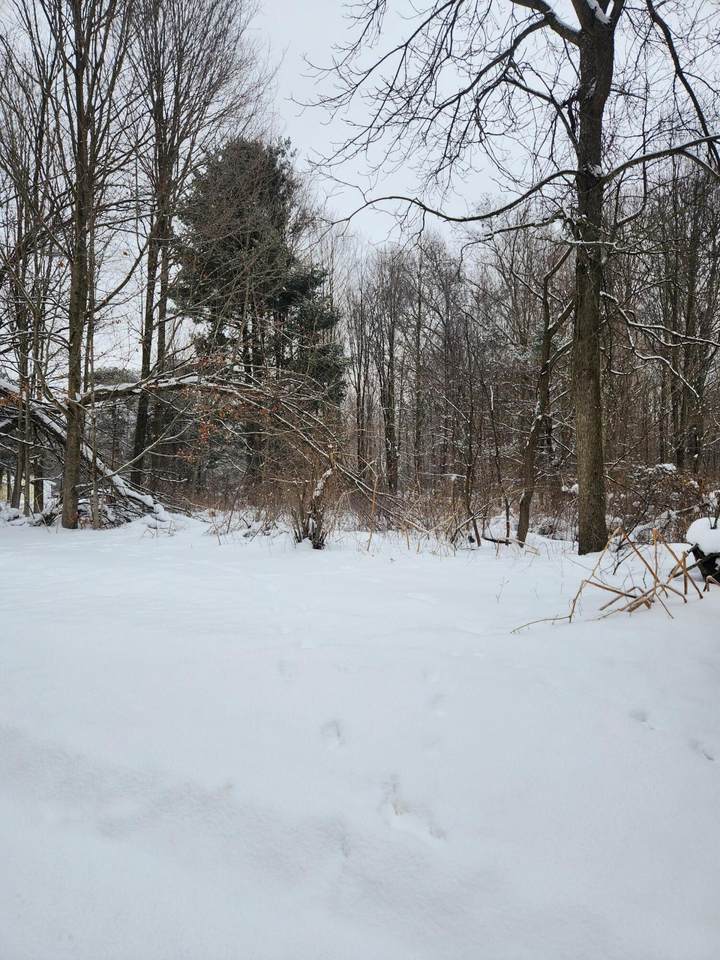 8694 South County Line Road - Photo 1