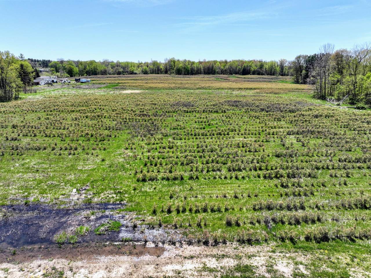 VL Benny Ct (Private) - Photo 1