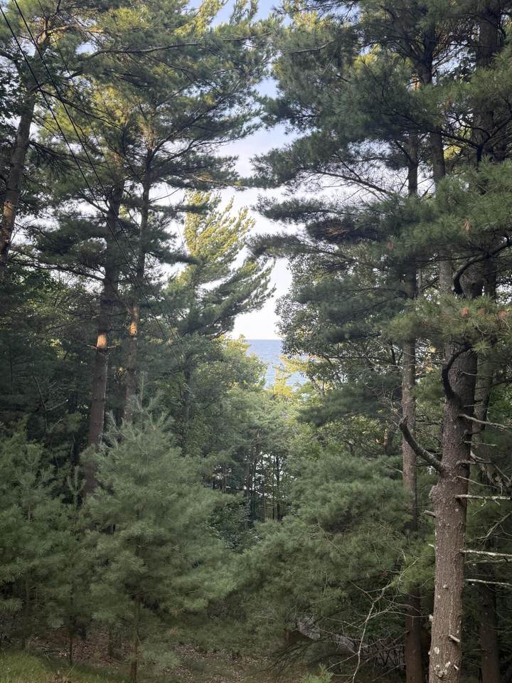 Lot G Hemlock Trail - Photo 1