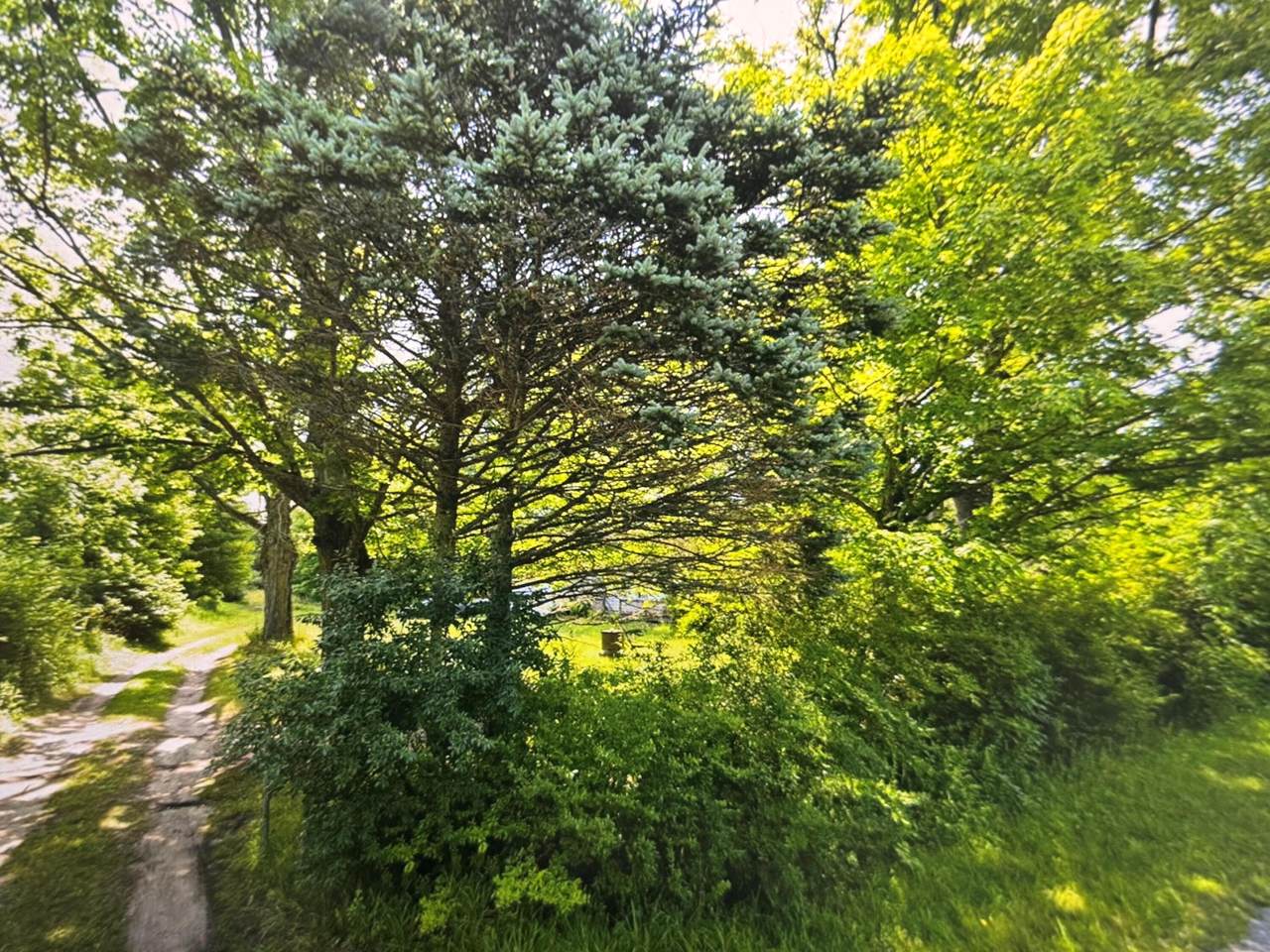 42439 78th Street - Photo 1